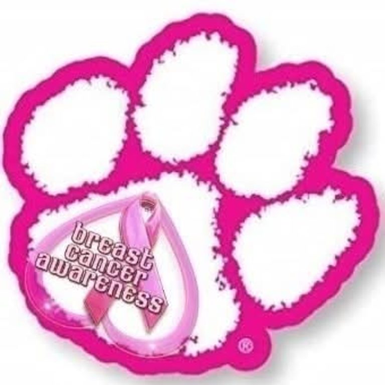 Breast Cancer Awareness Time!